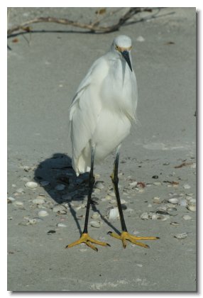 Florida 2009 (15)